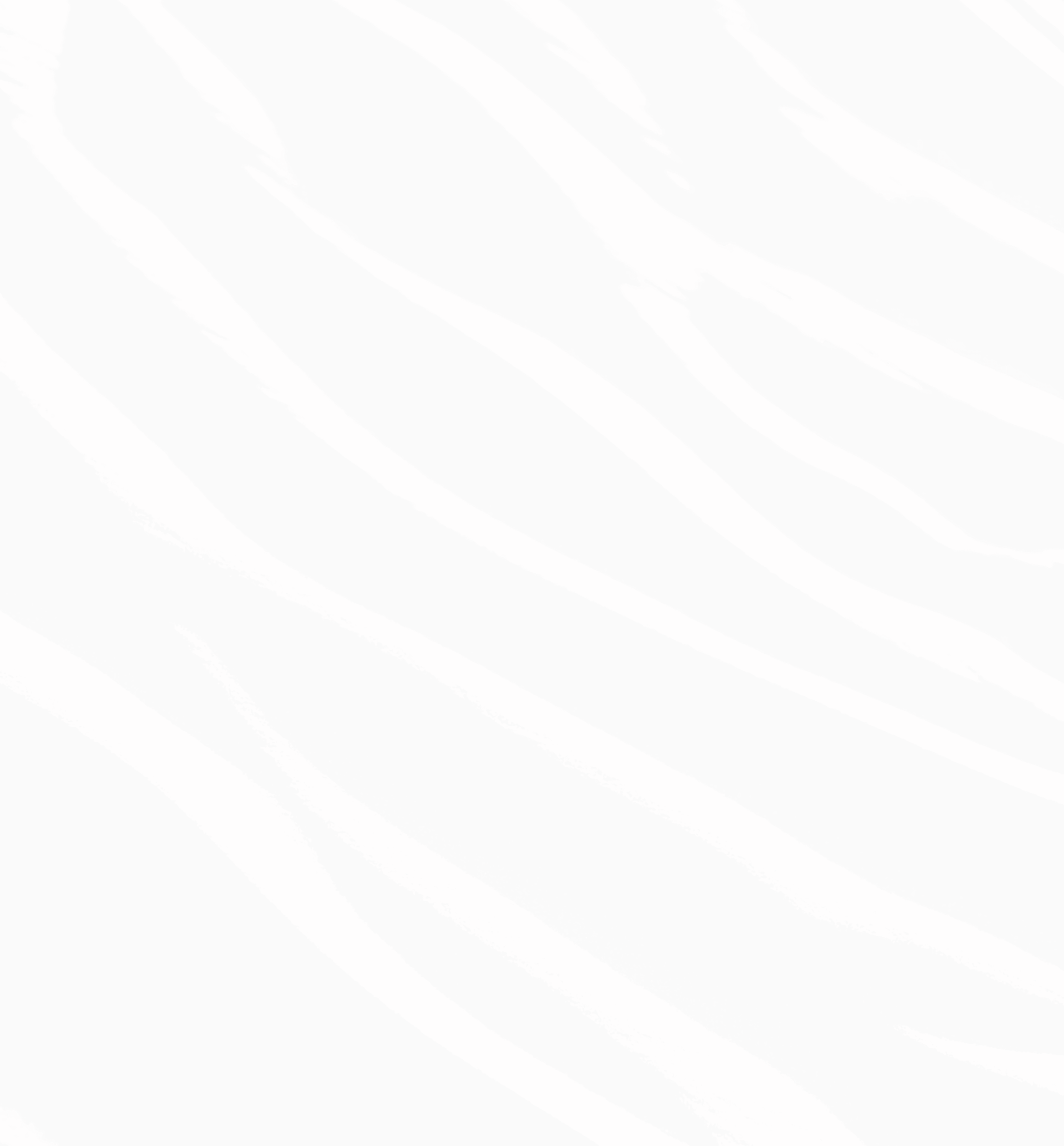 section-bg-image